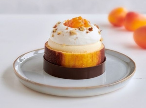 ТОПФИЛ АБРИКОС 1/5,5